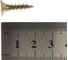Саморез ГОСКРЕП ШУЖ 5,0х20, 1000 шт. б.пл.конт. 1000 мл 1-0026960 4