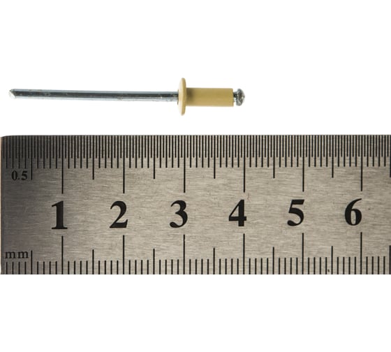 Daxmer Заклёпка вытяжная 3,2х8 RAL 1014 7989/307989 307989