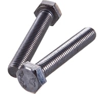 Болт DIN 933 с шестигр. гол. с полн. рез. ГОСКРЕП 12 х 70 нержав. сталь 2 шт. 10-0015090
