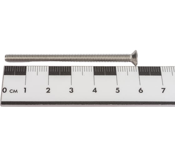 Винт Госкреп DIN 965 4х60 нержав. сталь 6 шт. 10-0023080