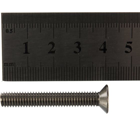 Винт Госкреп DIN 965 6х40 нержав. сталь 4 шт. 10-0023230