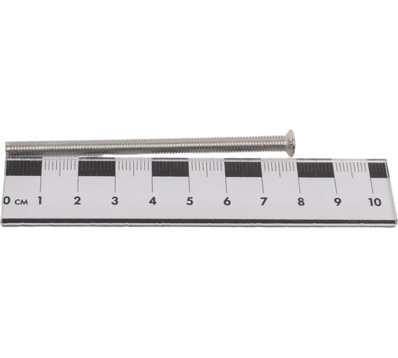 Винт Госкреп DIN 965 5х80 нержав. сталь 2 шт. 10-0023190