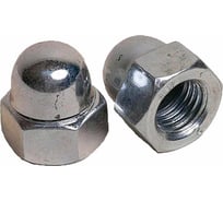 Гайка шестигранная колпачковая Insparion DIN 1587 а2 нерж M8 (2 шт) С1-00001704