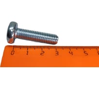 Винт с полуцилиндрической головкой R2R din 7985, 4.8, цинк, шлиц ph, pz, m8x30 (упаковка 100 шт) 9600-Vn016080030Z