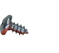 Шуруп с полукгруглой головкой R2R din 7981, 4,8x9,5 мм, 100 шт. шп4895