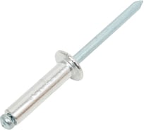 Заклёпки вытяжные BOWT алюминий-сталь, 4,8x20 мм, 100 шт. A02135