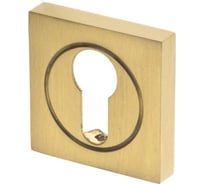 Розетка DOORLOCK DL M03/S PZ OSV-15 латунь матовая, квадратная розетка 73576