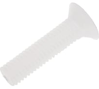 Винт с потайной головкой и крестообразным шлицем DINFIX DIN 965, полиамид (пластик), M5x20 мм, 1 шт. 00-0004316