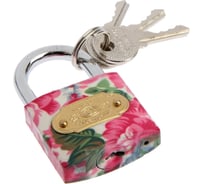 Замок навесной ТУНДРА 38x80 мм, МИКС 4674211