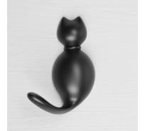 Мебельный крючок CAPPIO CAT однорожковый, цвет черный 9608737
