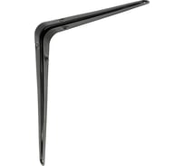 Кронштейн ТУНДРА 250x200x0.9 мм, черный 10331232