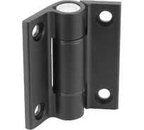 Шарнир KIPP Арт. K1196.55651