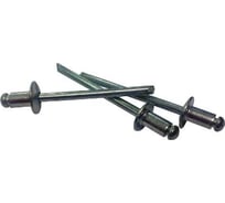 Заклепка Госкреп ал./ст. 4,0x6 100 шт пакет 8-0011120