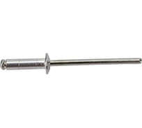 Заклепка вытяжная Госкреп ал./ст. 3,2x12 100 шт 8-0010510