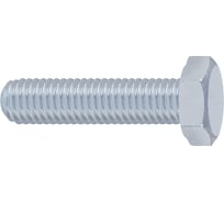 Болт Госкреп DIN933 М10х30, 6 шт. 6-0047100