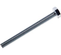 Болты Госкреп DIN933 М10х100, 1 шт. 6-0046950