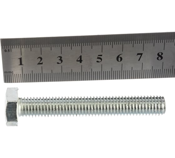 Болты Госкреп DIN933 М10х70, 10 шт. 6-0046400