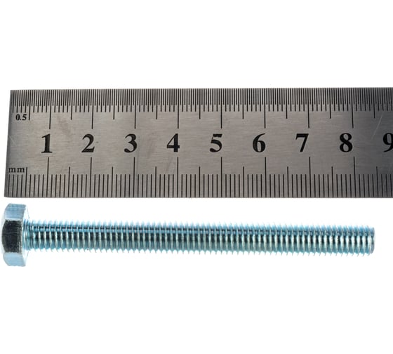 Болт Госкреп DIN933 М8х80, 2 шт. 6-0048300