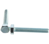 Болты Госкреп DIN933 М10х65, 12 шт. пл.конт 280 мл 6-0046390