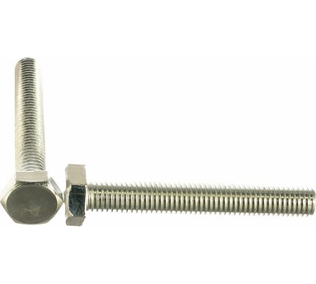 Болт Госкреп DIN933 М10х80, 2 шт. 6-0047190