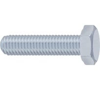 Болт Госкреп DIN933 М6х30, 65 шт. 6-0046630