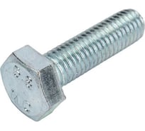 Болт Госкреп DIN933 М8х20, 60 шт. 6-0046810