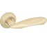 Дверная ручка Palladium Ariel SG/GP 114461 1