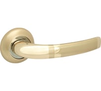 Дверная ручка Palladium A Anima GP/SG 114445