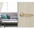 Дверная ручка Palladium Agata SG/GP 114451 3