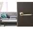 Дверная ручка Palladium Agata SG/GP 114451 4