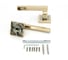 Дверная ручка Palladium A Carrino GP 114449 2