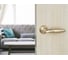 Дверная ручка Palladium Arno SG/GP 114455 3