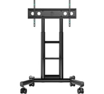 Стойка мобильная ONKRON для ТВ и профессиональных дисплеев 43"-75", макс. 70 кг, черная TS1551 TS1551-B