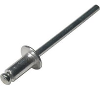 Заклепка вытяжная Доброга нержавеющая, 4,8x12 мм, 500 шт., DIN 7337, A2 ТД-00004537