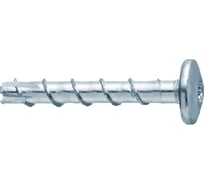 Анкер-шуруп Tech-Krep TUS-P 6х40 полусферич. головка 200шт УТ-00009052