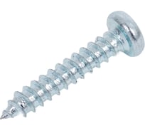 Шуруп STARFIX 2.2x13 мм, полусферическая головка, белый цинк, острый, DIN 7981, 100 шт. в зип-локе SMZ1-90266-100