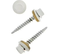 Саморез HAUPT 4.8х35 мм, крашеный, в упаковке 250 шт., сигнально-белый (RAL 9003) 4673729050043