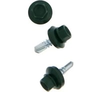 Саморез HAUPT 4.8х19 мм, крашеный, в упаковке 250 шт., зеленый мох (RAL 6005) 4673729050241