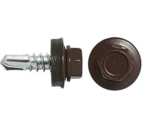 Саморез HAUPT 5.5х19 мм, крашеный, в упаковке 250 шт., шоколад (RAL 8017) 4673729051187