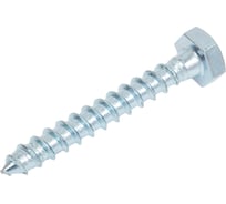Шуруп Стройметиз 10,0x70 сантехнический, DIN 571, цинк (уп. 4 шт) европодвес 00000019480 21708414
