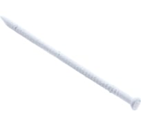 Плинтусные закаленные гвозди Стройбат 1,75x40 белый 10 шт 058791