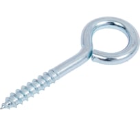 Шуруп-кольцо Стройметиз 6x40 2 шт., европодвес 00000031339 2194612