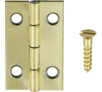 Петля шкатулочная VORMANN 20x12 мм латунь, упак. 4 шт. с винтами, на блистере 090858000