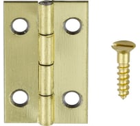 Петля шкатулочная VORMANN 30x16 мм латунь, упак. 4 шт. с винтами, на блистере 090861000