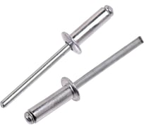 Заклепка вытяжная Метизный двор сталь/сталь, 4,8x18, 50 шт. 4690441039323