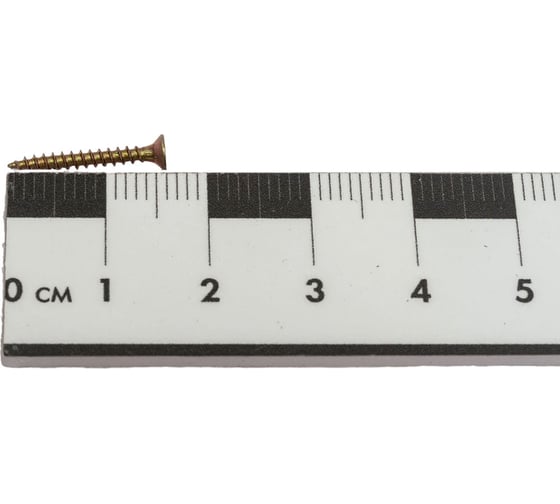 Саморез Госкреп ШУЖ 2,5х16, 25 шт. 1-0028460