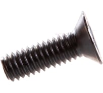 Винт Госкреп DIN 965 с пот. гол. 4х12, нержав. сталь, 8 шт. КН.040992