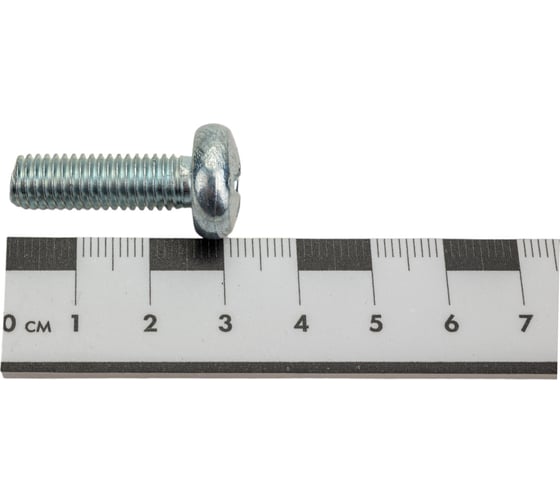 Винт Госкреп DIN7985 М8х25, 6 шт. 6-0055050