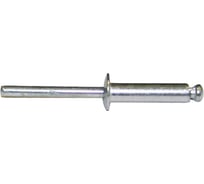 Заклепка алюминиевая (100 шт; 4x16 мм) Энкор 9161