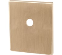 Накладка на шток цилиндра ARMADILLO ESC.O.USS/K (BK Protector/USS) FSG флорентийское золото 48135